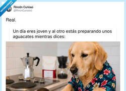 Enlace a Los que sois jóvenes aún no sabéis la alegría que da eso, por @RincnCuriosoo