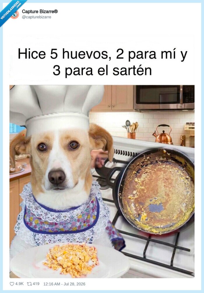 perro,cocina,huevo,sart&eacute;n,desastre
