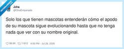 Enlace a Mi gato ahora se llama Kevin porque evolucionó a furro a los 3 años, por @OtraEmpanada