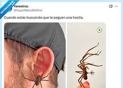 Enlace a Lo vas pidiendo por @supermanumolina