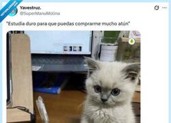 Enlace a La única motivación posible por @supermanumolina