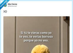 Enlace a Ese polluelo tiene más lógica que la mayoría de mis amigos, por @MsCiencia2