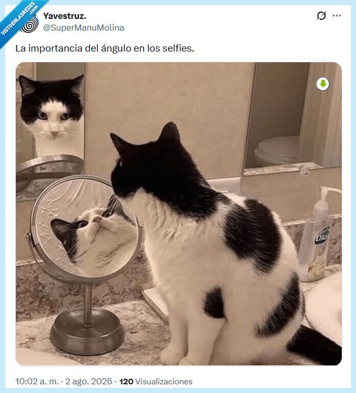 &aacute;ngulo,selfie,importancia