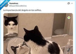 Enlace a Más arriba. Más abajo por @supermanumolina