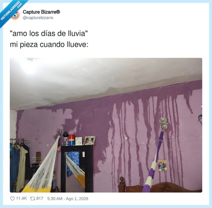 1747111 - Mi techo dice lo contrario, por @capturebizarre