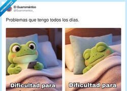 Enlace a Yo con la rana: tengo dos velocidades, la de estar completamente despierto o muerto en vida, no hay término medio, por @Guarromantico_