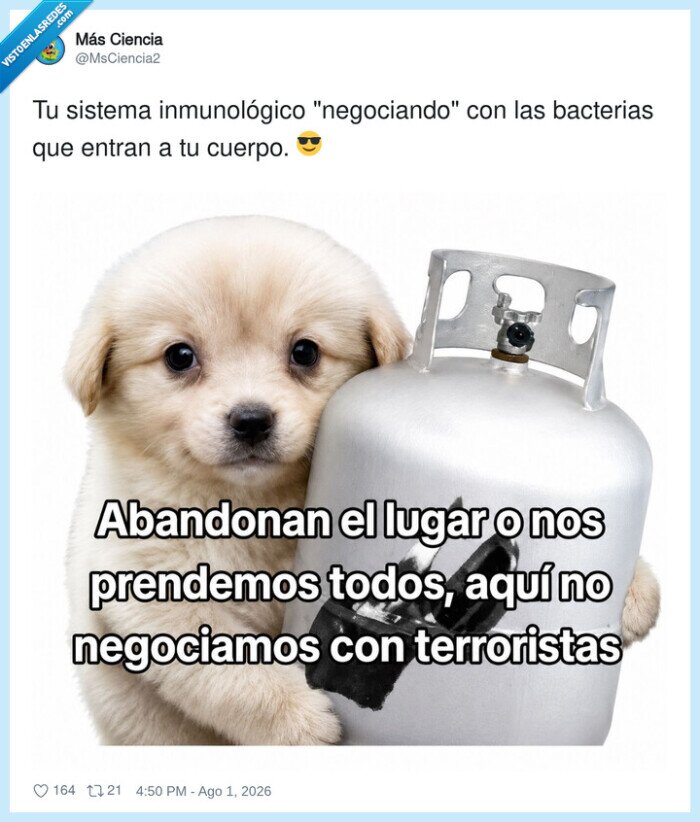 inmunol&oacute;gico,bacterias,negociaci&oacute;n,protecci&oacute;n,sistema