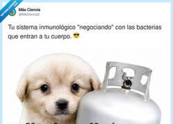 Enlace a Mi sistema inmune viendo que me como un sándwich del suelo después de 5 segundos, por @MsCiencia2