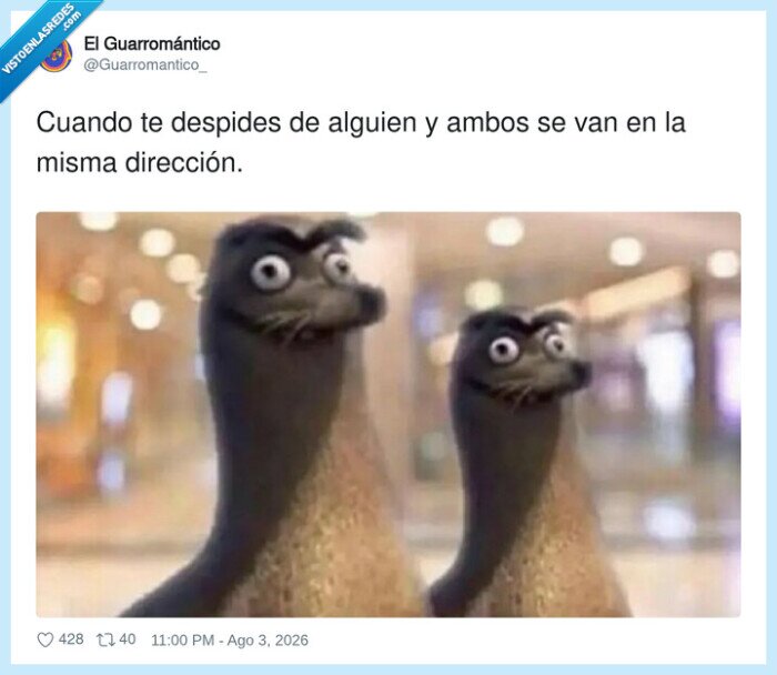 despedidas,incomodidad,direcci&oacute;n,pasillo,miradas