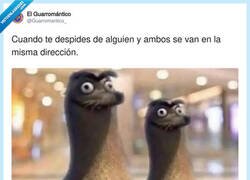 Enlace a Y ahora qué, por @Guarromantico_