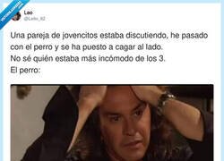 Enlace a Yo intentando seguir con mi vida sin saber el salseo completo, por @Leito_82