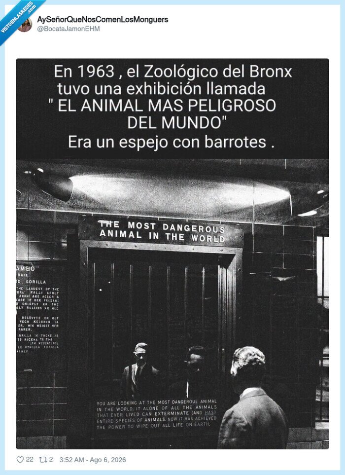 espejo,zool&oacute;gico,Bronx,1963,reflexi&oacute;n