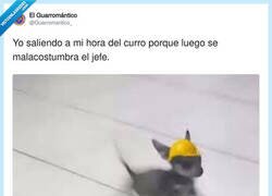 Enlace a Rápido y sin hacer ruido, que el jefe no coja confianza, por @Guarromantico_