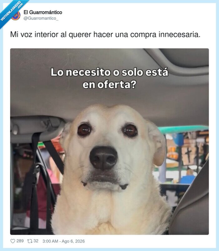 compra,necesidad,oferta,perro,duda