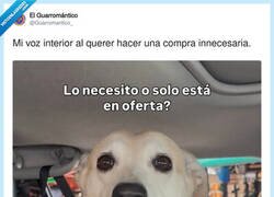Enlace a El truco es volver al día siguiente, por @Guarromantico_