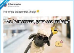 Enlace a Ya llegará el arrepentimiento en un mes, por @Guarromantico_