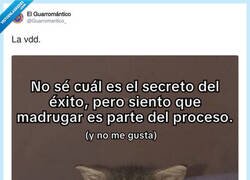Enlace a Con eso no contaba, por @Guarromantico_