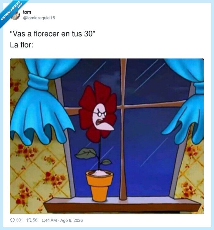 flor,30a&ntilde;os,frustraci&oacute;n,lluvia,pensamiento