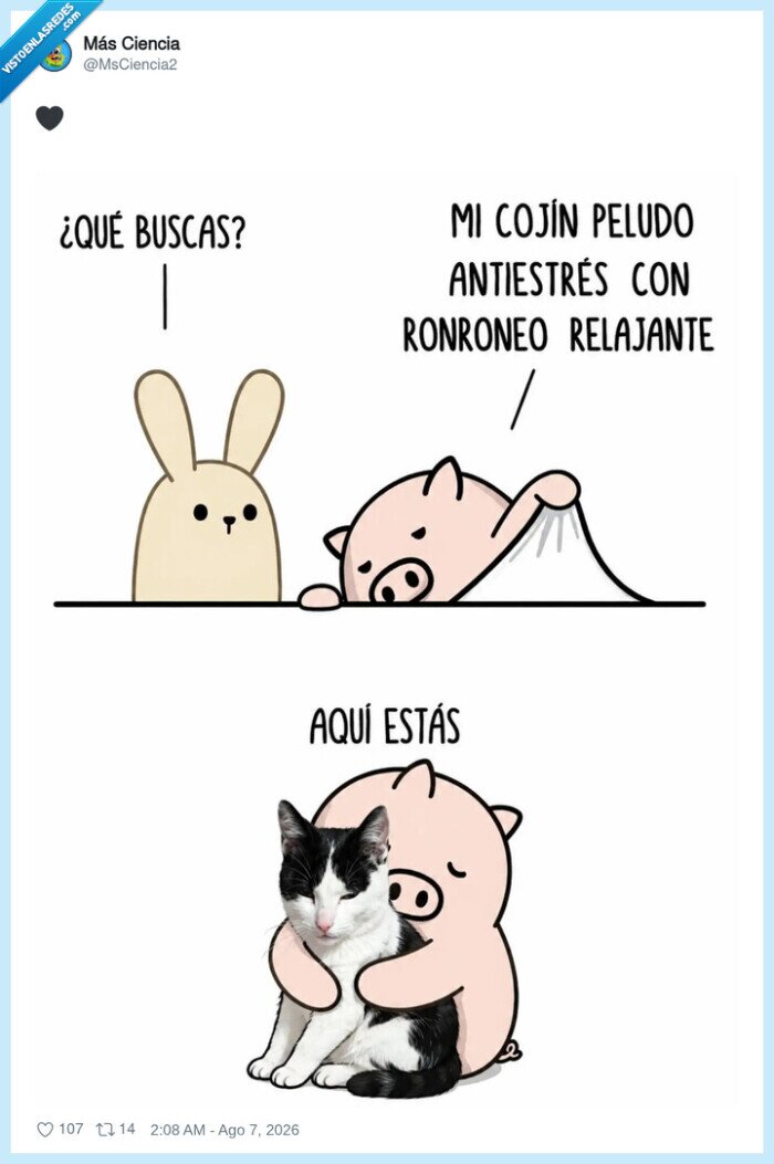 cachorro,gato,coj&iacute;n,relajaci&oacute;n,amistad