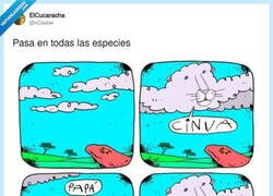 Enlace a Paciencia, gente, paciencia, por @xCesiox