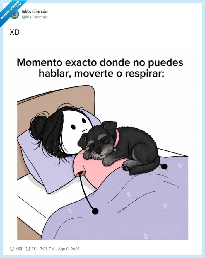 perro,dormir,abrazo,relajaci&oacute;n,cari&ntilde;o
