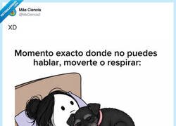 Enlace a El perro sabe exactamente cuándo te has quedado sin aire para resistir, por @MsCiencia2