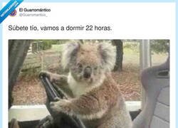 Enlace a Me apunto, por @Guarromantico_