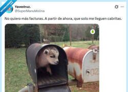 Enlace a Mucho más rentable por @supermanumolina