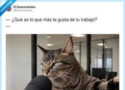 Enlace a Lo único que me mantiene cuerdo es el sueldo, por @Guarromantico_