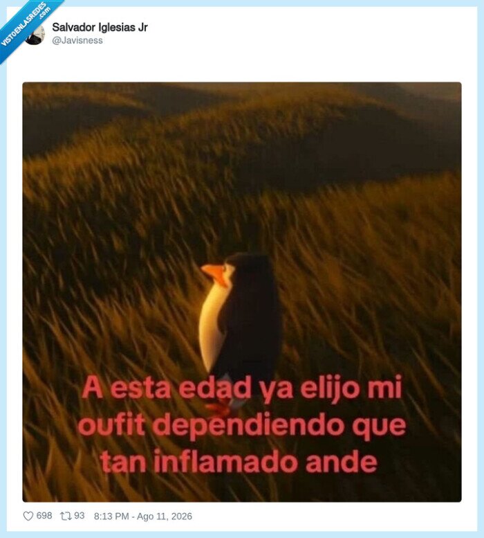 penguin,outfit,edad,inflamado