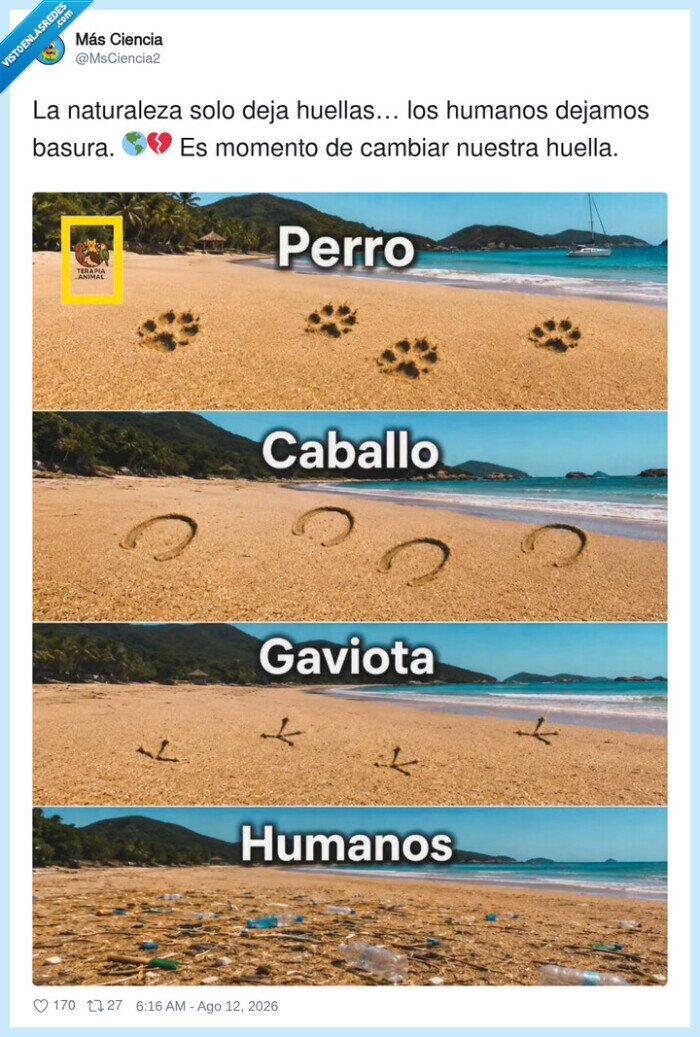 huella,ecologia,medioambiente,basura,conciencia