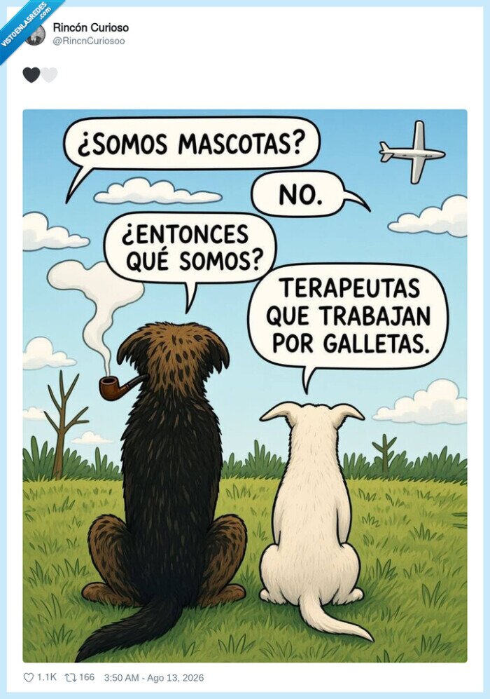 perros,terapia,galletas,mascotas