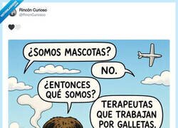 Enlace a Una galletita y aguantan a tu lado, por @RincnCuriosoo
