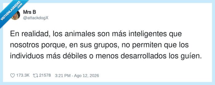 inteligencia,animales,grupos,debilidad,cohesi&oacute;n