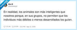 Enlace a Lo contrario al ser humano, por @attackdogX