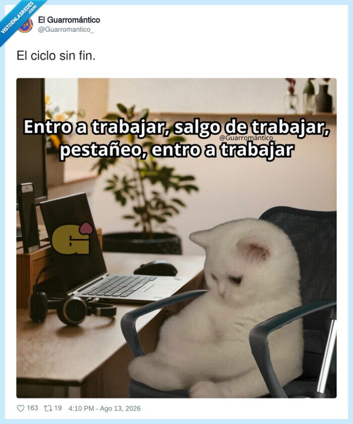 trabajo,ciclo,gato,oficina,cansancio