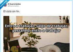 Enlace a Cuando descubres que el fin de semana es solo una pausa para que el lunes te ataque por la espalda, por @Guarromantico_