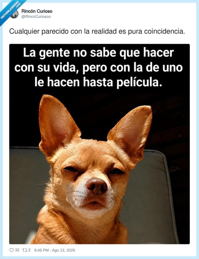 vida,pelicula,gente,perro,frase