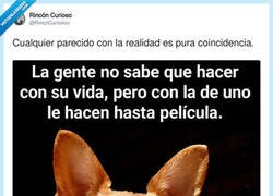 Enlace a Más mirarse el propio ombligo, por @RincnCuriosoo
