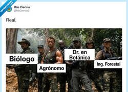 Enlace a Mientras todos tienen un máster, el campesino tiene la mejor base de datos del universo, por @MsCiencia2