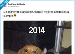 Enlace a La única relación estable que conozco y ni siquiera son humanos, por @EnsedeCiencia