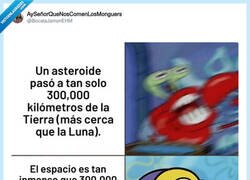 Enlace a Menudo corta-rollos, por @BocataJamonEHM