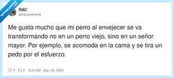 Enlace a Mi perro tiene más estilo de vida que yo, por @racandmorty