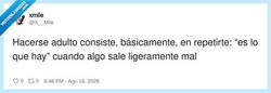 Enlace a Es lo que hay, por @X__Mile