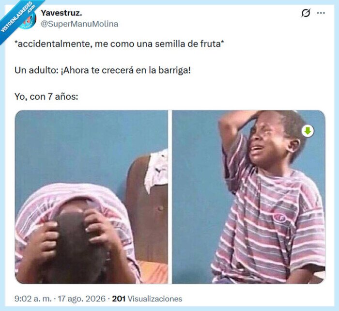 semilla,fruta,barriga,crecer