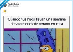 Enlace a Una semana de vacaciones y ya parecen salvajes, por @RincnCuriosoo