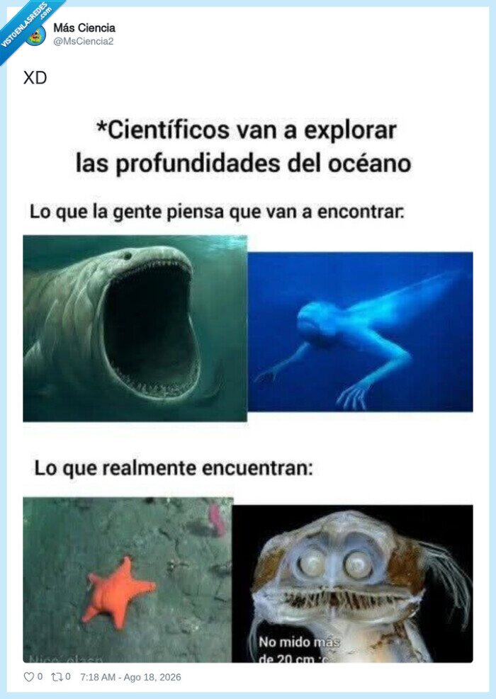 ciencia,oceanograf&iacute;a,especies,mar,exploraci&oacute;n