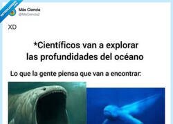 Enlace a Expectativas vs realidad: cuando la ciencia te arruina las películas de miedo, por @MsCiencia2