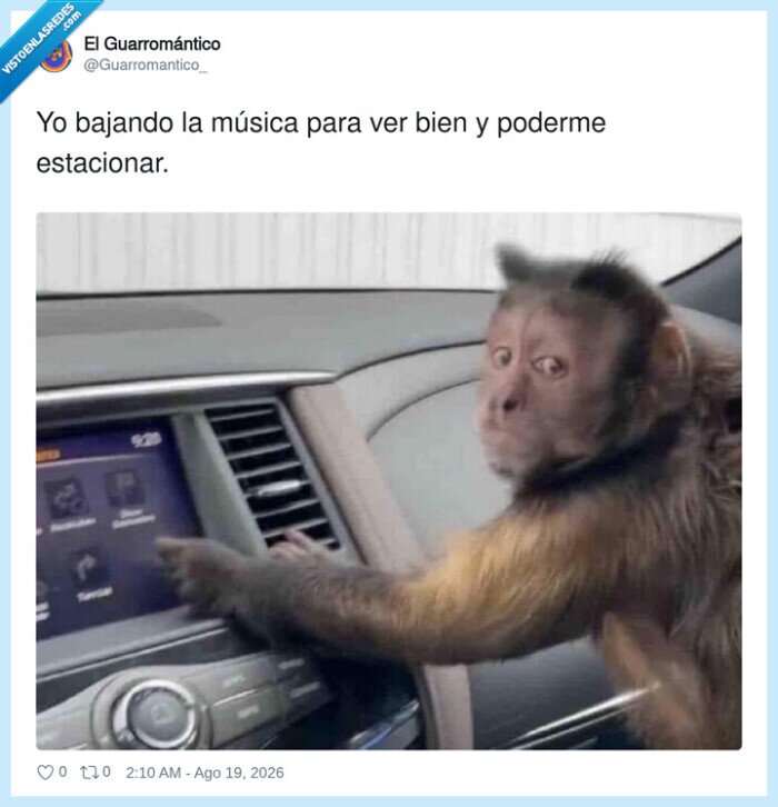 conducir,estacionar,m&uacute;sica,mono,atenci&oacute;n