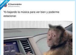 Enlace a Un clásico, si no lo hago yo no puedo aparcar bien, por @Guarromantico_